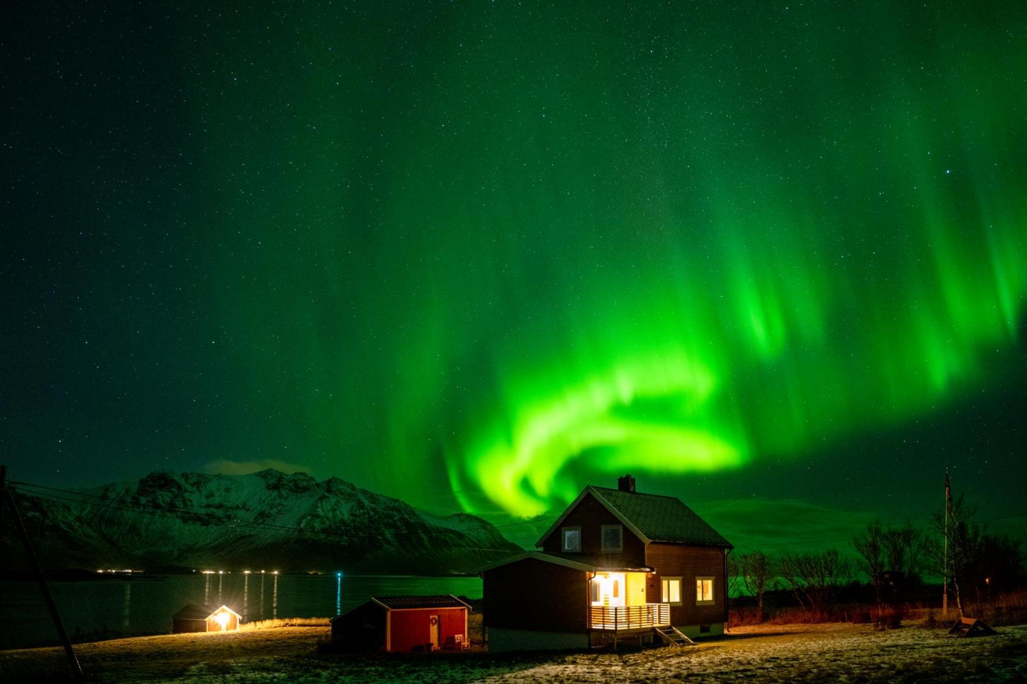Lillevik Lofoten Vakantiehuis