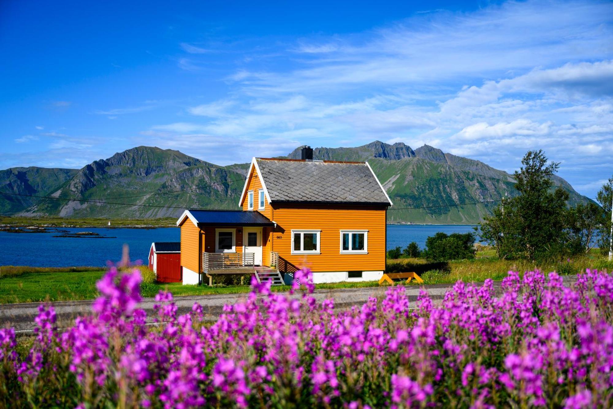Lillevik Lofoten *